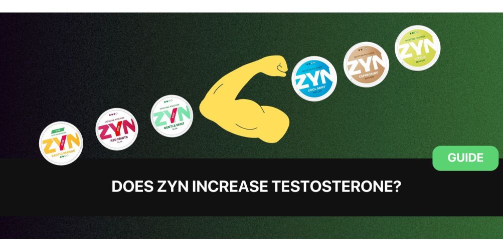https://dev.snusdaddy.eu/media/amasty/blog/cache/n/i/1003/502/nicotine_and_testosterone.jpg